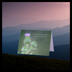 Merci pour la sympathie, Fleur sauvage rose violet