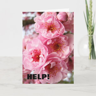 Merci pour l'AIDE ! Cartes de vœux Floraisons