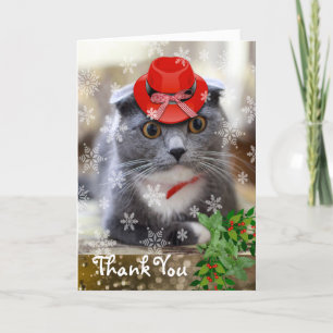 Merci pour le cadeau de Noël Scottish Fold