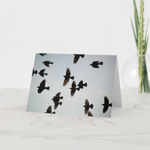 Merci pour les ailes