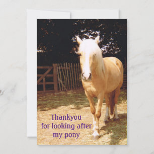 Merci pour m'occuper de ma carte de poney