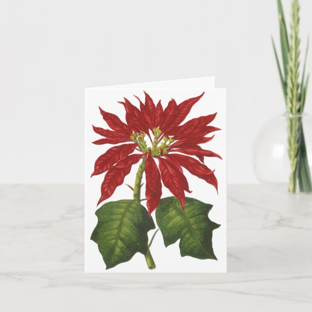 Merci pour Noël Vintage (Devant)