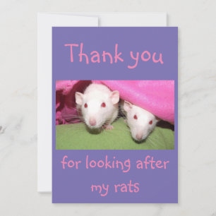Merci pour s'occuper de ma carte de rats