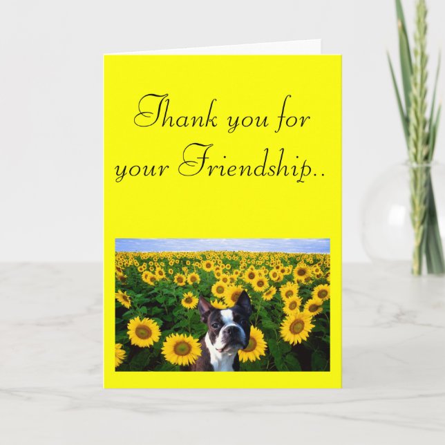 Merci pour votre amitié Boston Terrier carte (Devant)