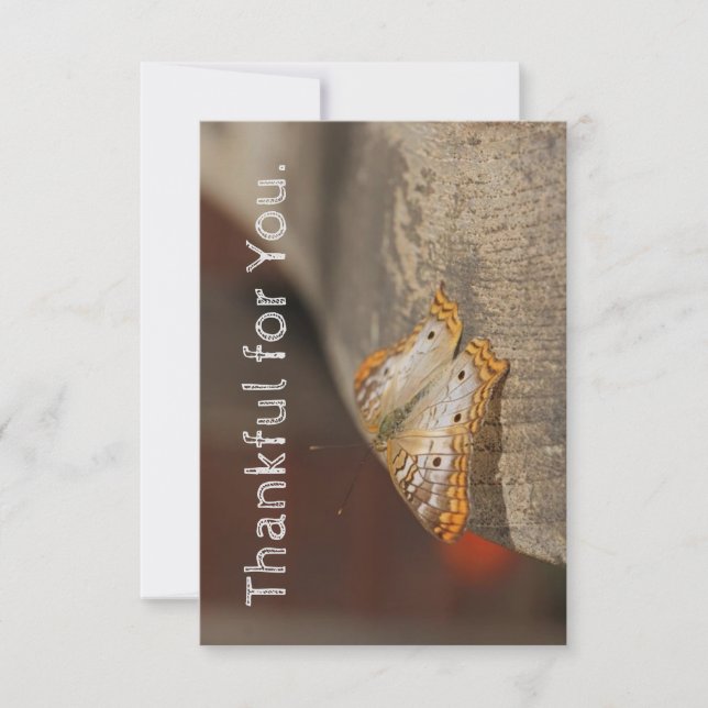 Merci pour votre carte Thanksgiving (Devant)