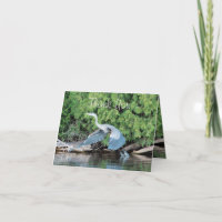 Merci Pour Votre Main D'Aide