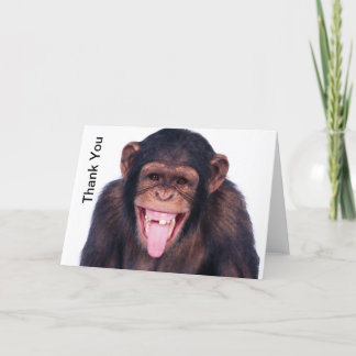 Merci riant de singe
