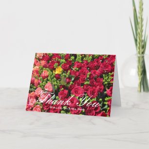 Merci Rose coloré