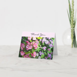 Merci rose de Begonias