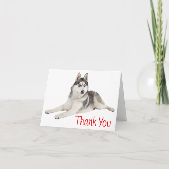 Merci rouge Chien Chien Rouge Sibérien Husky - Bla (Devant)