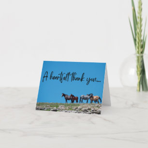 Merci sauvage à cheval