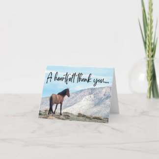 Merci sauvage à cheval