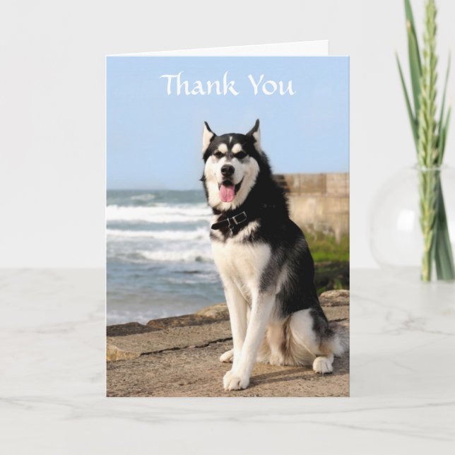 Merci Siberian Husky sur la carte de voeux de plag (Devant)