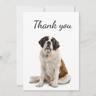 Merci St. Bernard Chien Animal de compagnie