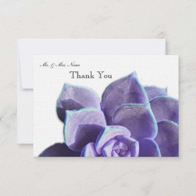 Merci succulent lilas (Devant)