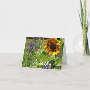 Merci tournesol
