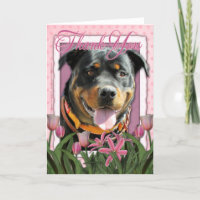 Merci - tulipes roses - rottweiler - SambaParTi