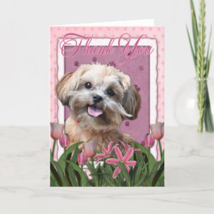 Merci - tulipes roses - ShihPoo - Maggie