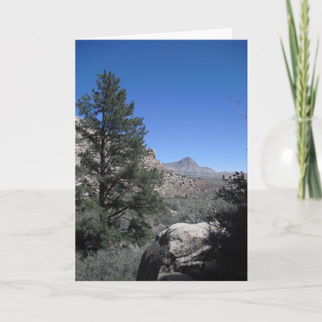 Merci un marin, Vegas 09 274 (Devant)