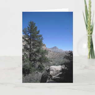 Merci un marin, Vegas 09 274