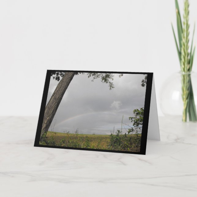 Merci un Marine 41 (Devant)