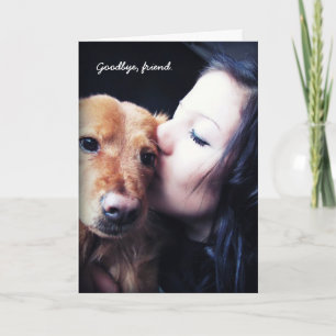 Merci vétérinaire pour animaux de compagnie Rainbo