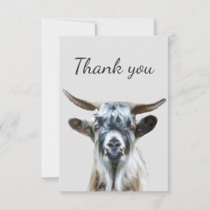 Merci Vieux Chèvre Drôle Ferme Animal