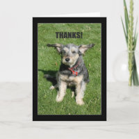 Merci ! Votre Gentillesse M'A Presque Éloigné !