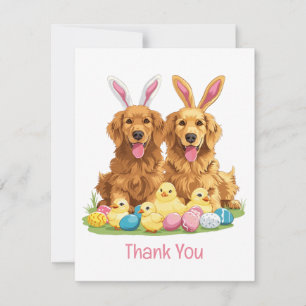 Merci Vous Chiens Retriever Golden Pâques Oreilles