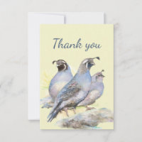 Merci Watercolor California Quail Bird Nature