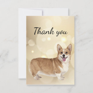 Merci Welsh Corgi Chien animal animal de compagnie