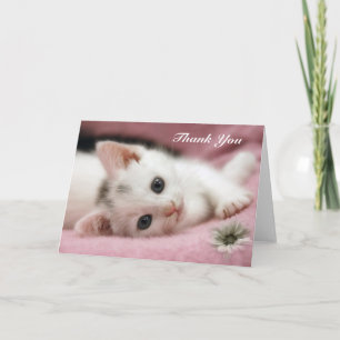 Merci    YouSnow White