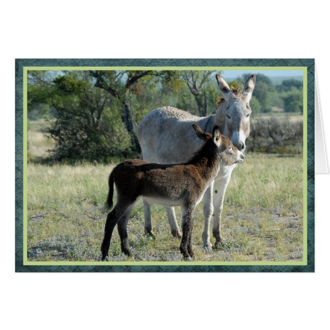 Mère burre et bébé (Devant horizontal)
