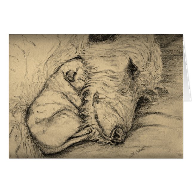 Mère et chiot de chien-loup irlandais (Devant Horizontal)