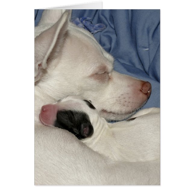 Mère et enfant (Devant)