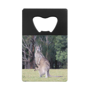 Mère Kangaroo avec bébé Joey dans sa poche