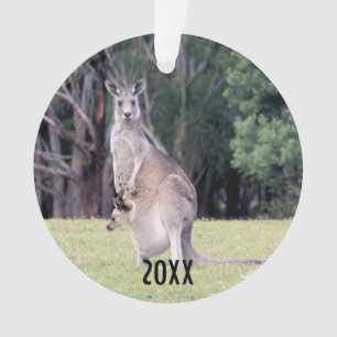 Mère Kangaroo avec bébé Joey dans sa poche