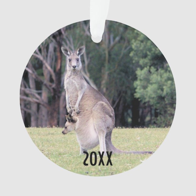 Mère Kangaroo avec bébé Joey dans sa poche (devant)