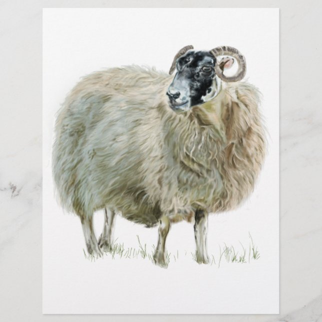 Mère Mère Sage Mouton (Devant)