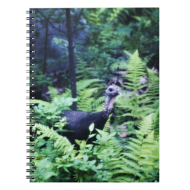 Mère Turquie dans le Carnet des Ferns (Devant)