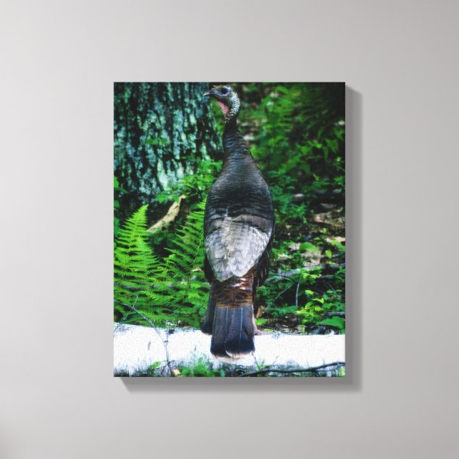 Mère Turquie toile enveloppée (Recto)