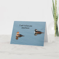 Mergansers à capuchon ensemble - Carte d'art encad