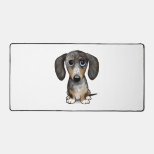 Merle Dapple Dachshund mignon chien Wiener