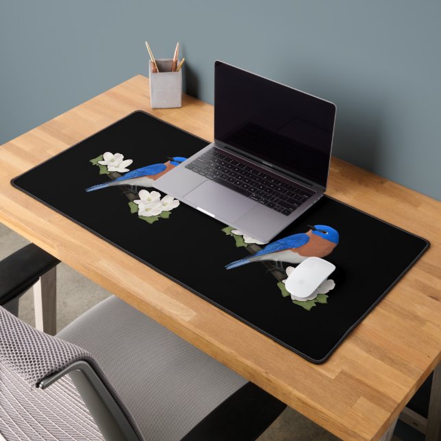 Merlebleu de l'Est Ornithophile Observateur d'oise (Bureau 2)