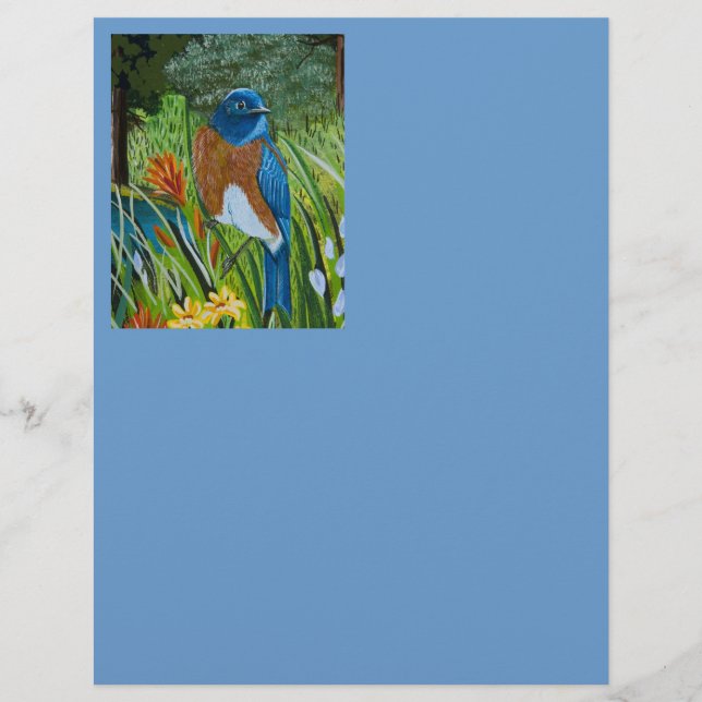 Merlebleu de l'Ouest (Devant)