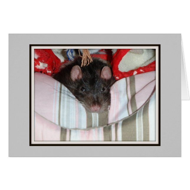 Merlin Lazy (Devant Horizontal)