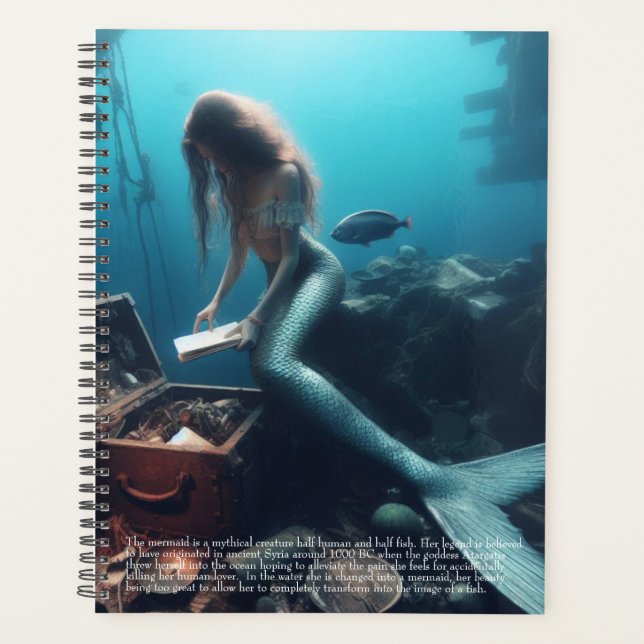 Mermaid Calendar (Devant)