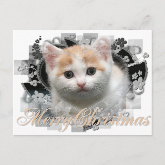 Merry Christmas Kitten - Cartes postales de vacanc (Devant)
