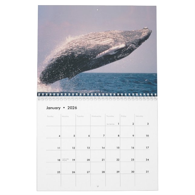 Merveilles de calendrier de l'Alaska 2012 (Jan 2026)