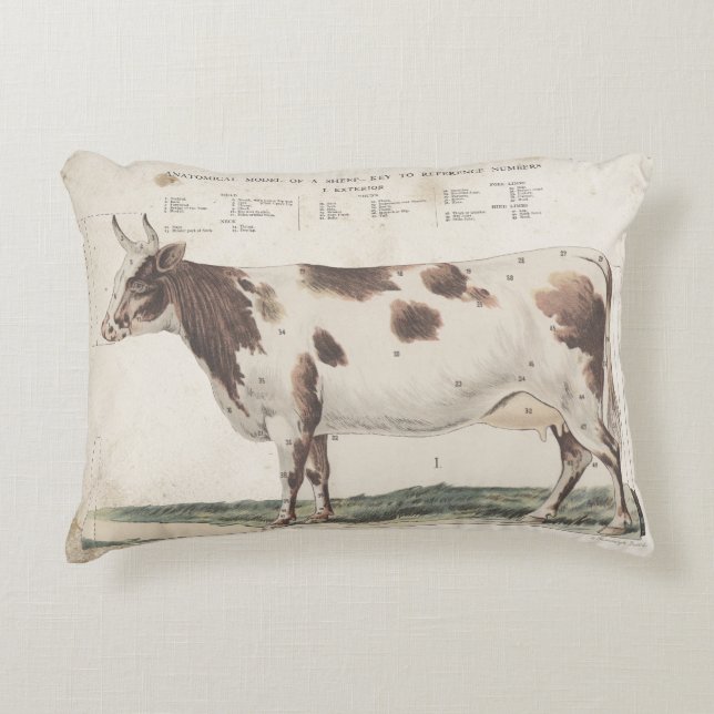 Merveilleux et beau coussin de vache vintage. (Devant)